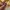 Stussy Casual Casual shoe Pria yellow photo 4