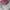 Bershka Sunglass Wanita pink photo 2