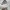 Adidas Casual Hoody Pria white photo 2
