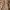Vintage Cardigan Wanita tan brown photo 2