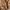 Vintage Cardigan Wanita tan brown photo 3