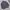 Louis Vuitton Luxury Puffer jacket Pria brown photo 1