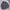 Louis Vuitton Luxury Puffer Jacket Pria Brown