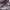 MLB Streetwear Skater Jersey Pria red gray photo 7