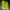 HOKA Skater Sportswear Sneakers Pria green photo 2