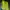 HOKA Skater Sportswear Sneakers Pria Green