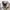 Spao Minimalist Casual Suit Pria white gray photo 3