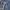 Diesel Flare pants Wanita blue photo 4
