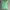 Stradivarius Y2K Crop top Wanita green photo 1