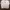 Adidas Sportswear Minimalist Sweater Pria cream photo 1