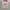 Fruit of the Loom Vintage Streetwear Sweater Pria gray photo 2