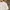 Adidas Vintage Streetwear T-shirt Pria white photo 2