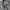 Vintage Streetwear Sweater Pria gray photo 3