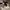 Nike Sportswear Sneakers Pria white photo 1