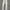 Diesel Jeans Pria white gray photo 1
