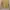 Casual Crop top Wanita yellow photo 1