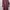09WOMEN Muslim Casual dress Wanita burgundy photo 1