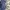 Batik Baju muslim Pria blue photo 2