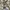 Uniqlo Streetwear Casual Casual shirt Pria tan cream photo 5