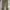 Polo Ralph Lauren Minimalist Casual Formal pants Pria green photo 4
