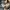 Adidas Sportswear Windbreaker Pria gray photo 4