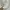 Fear of God ESSENTIALS Sportswear Casual Sneakers Pria multicolor gold silver purple burgundy white green tan navy red pink brown khaki black orange gray cream blue yellow photo 6