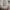 Adidas Sportswear Casual Sneakers Pria multicolor gold silver purple burgundy white green tan navy red pink brown khaki black orange gray cream blue yellow photo 6