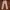 Polo Ralph Lauren Casual Casual pants Pria tan brown photo 2
