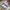 Corkcicle Casual Sneakers Wanita gray photo 1