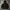 Uniqlo Streetwear Sportswear Hoody Pria black photo 1