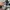 Ader Streetwear Luxury Casual shirt Pria multicolor photo 5