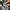 Ader Streetwear Luxury Casual shirt Pria multicolor photo 7