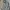 Ader Streetwear Luxury Casual shirt Pria multicolor photo 3