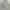 Ader Streetwear Luxury Casual shirt Pria multicolor photo 2