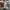 Ader Streetwear Luxury Casual shirt Pria multicolor photo 6