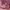 Minimalist Swimwear Kids multicolor photo 3
