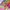 Minimalist Swimwear Kids multicolor photo 8