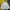 Lyle & Scott Casual Windbreaker Pria silver gray photo 2