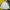 Lyle & Scott Casual Windbreaker Pria silver gray photo 4