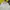 Lyle & Scott Casual Windbreaker Pria silver gray photo 3