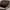 Coach Vintage Shoulder bag Wanita brown photo 5