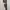 Casual Bodycon dress Wanita brown cream photo 2