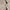 Levi's Casual Casual pants Pria tan brown photo 6