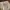 Levi's Casual Casual pants Pria tan brown photo 1