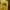 Russell Athletic Streetwear Windbreaker Pria Yellow