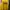 Russell Athletic Streetwear Windbreaker Pria yellow photo 2