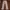 Robin's Jean Casual Jeans Pria tan photo 1