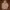 Casual Hoody Pria tan photo 1