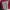 Dickies Lolita Casual Hoody Pria red gray photo 1