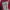 Dickies Lolita Casual Hoody Pria Red Gray